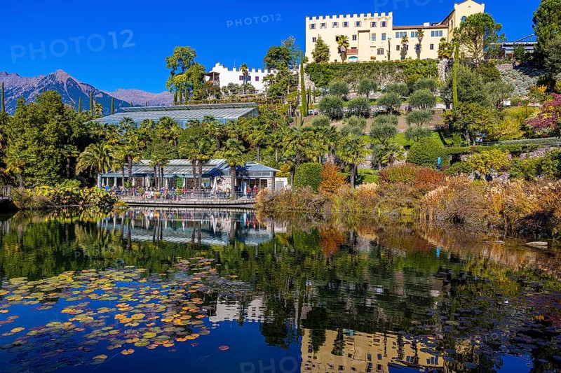 The Gardens of Trauttmansdorff Castle with Water Lily Pond, near Merano