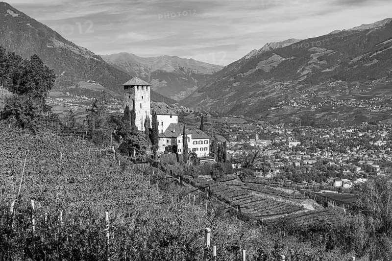 Lebenberg Castle above vineyards, near Tscherms