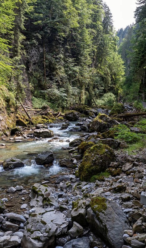River Breitach in the Breitachklamm gorge near Oberstdorf, Oberallgaeu