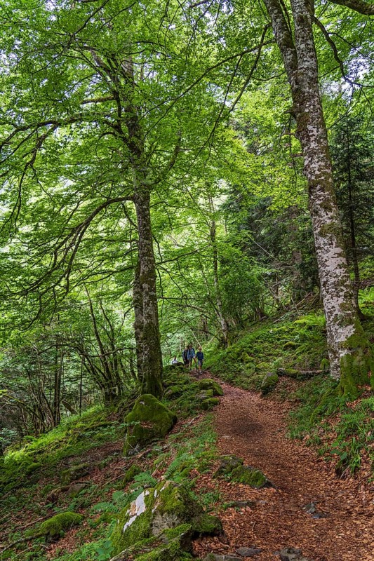 France, Pyrenean mountain range