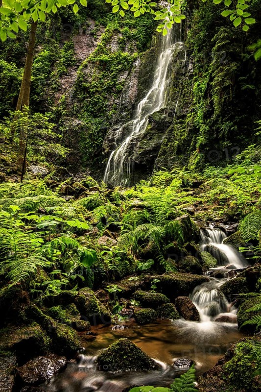 Waterfall with stream in the green forest, the Burgbach waterfall near Schapbach in the Black Forest