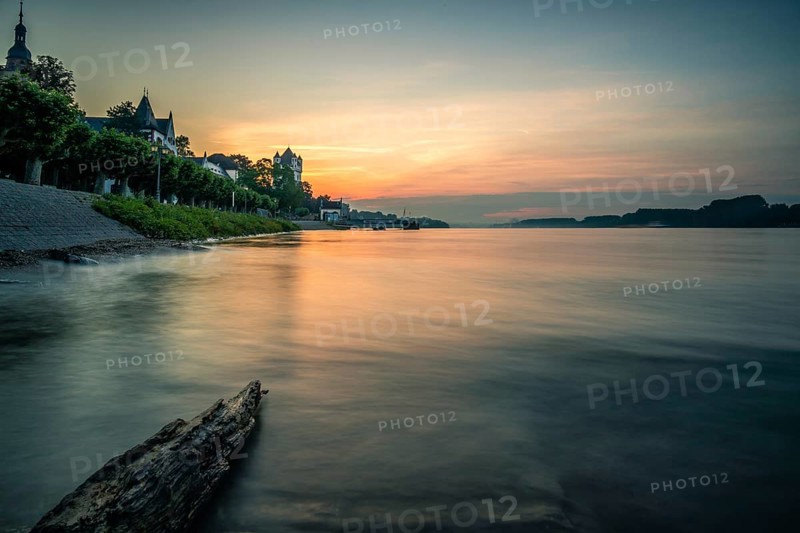 Electoral castle on the banks of the Rhine, Eltville am Rhein