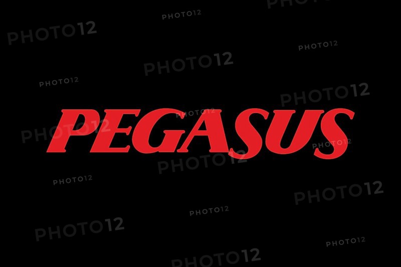 Pegasus Airline, Logo