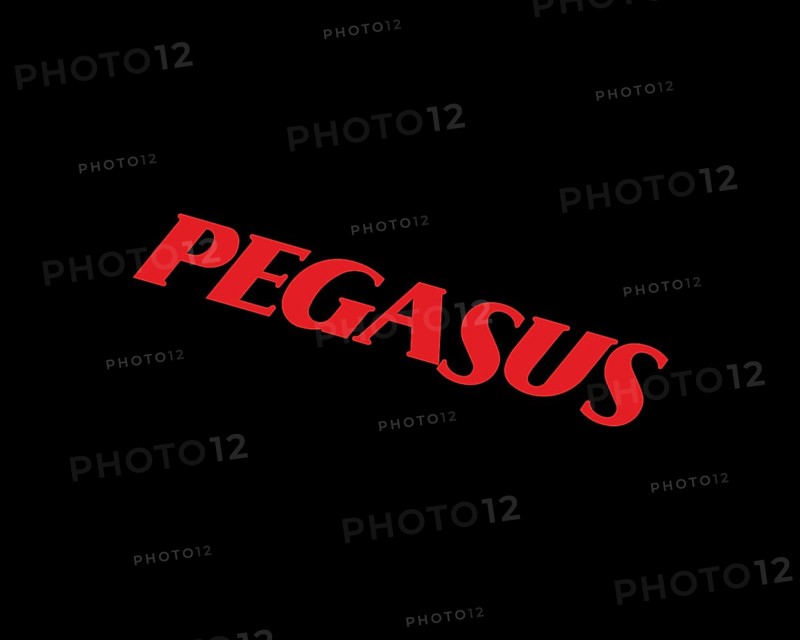 Pegasus Airline, Rotated Logo