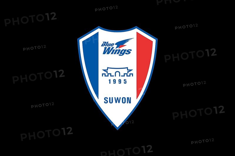 Suwon Samsung Bluewings, Logo