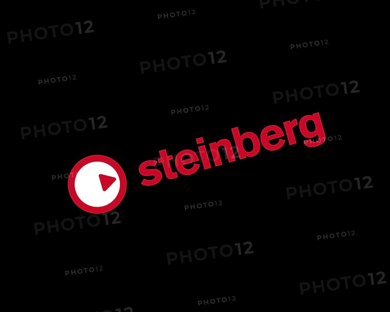 Steinberg, rotated logo