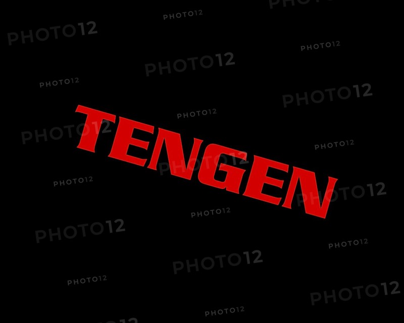 Tengen company, rotated logo