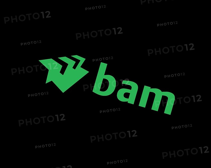 Royal BAM Group, rotated logo