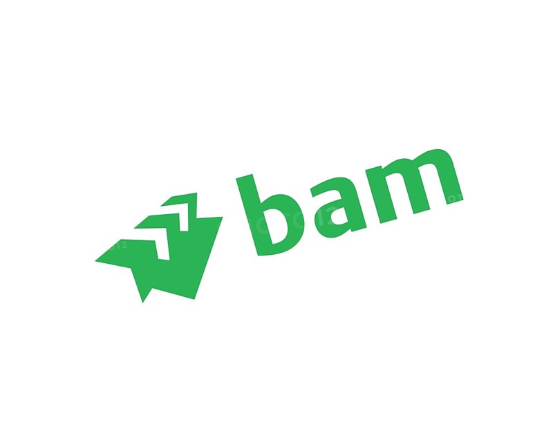 Royal BAM Group, rotated logo