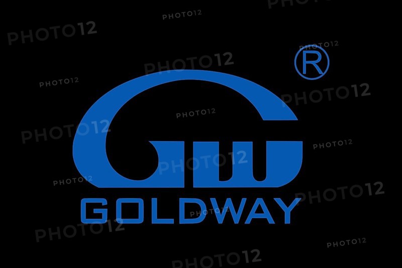 Shenzhen Goldway Industrial, Logo