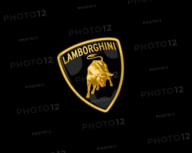 Lamborghini, Rotated Logo