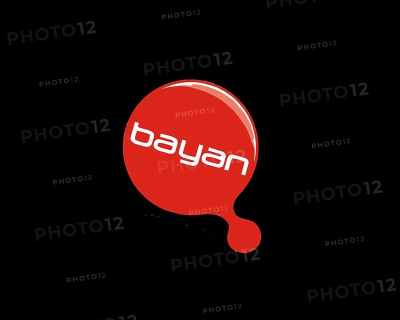Bayan Telecommunications, rotated logo