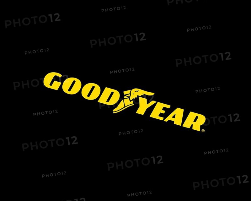 Goodyear Tire and Rubber Company, Rotated Logo