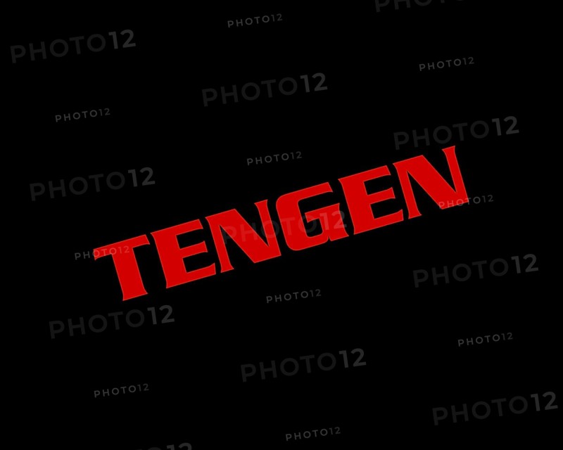 Tengen company, rotated logo
