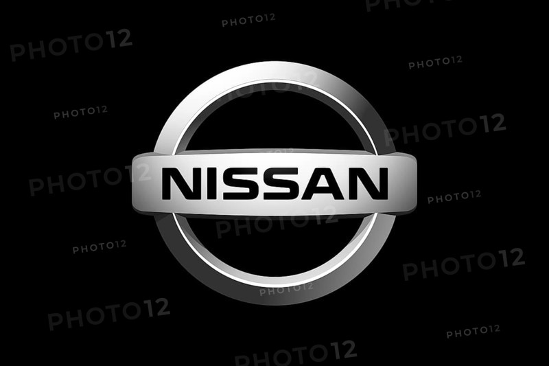 Nissan Motor India Private Limited, Logo