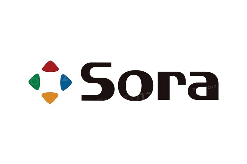 Sora Ltd. logo, white background