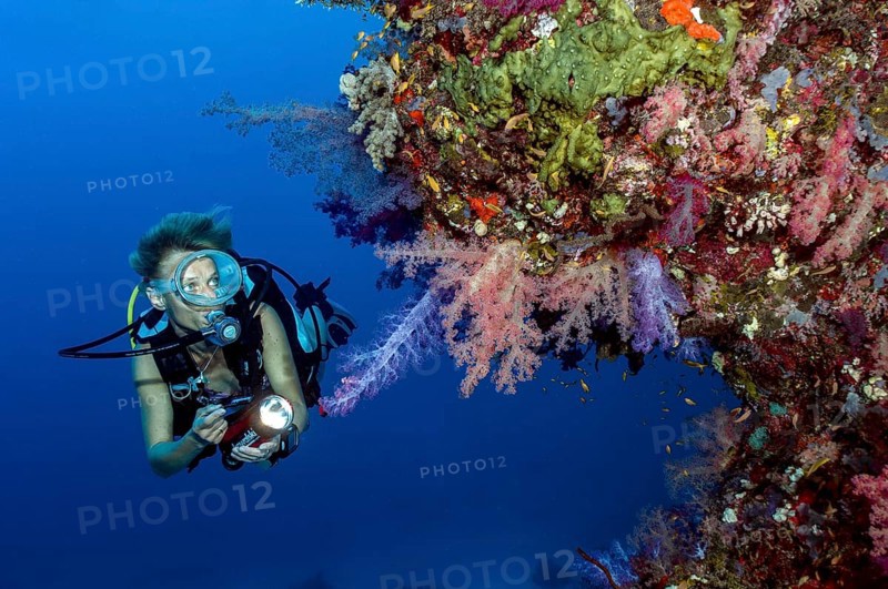 Sport diver in bikini looking at illuminated tropical coral reef with stony corals,