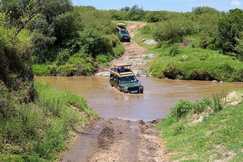 Safari jeep driving through river, Masai Mara National Reserve