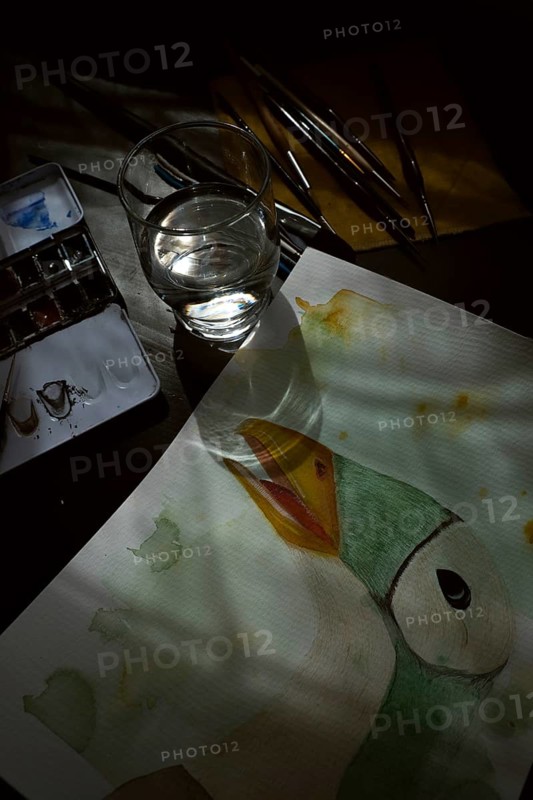 Painted goose, watercolour painting with water glass