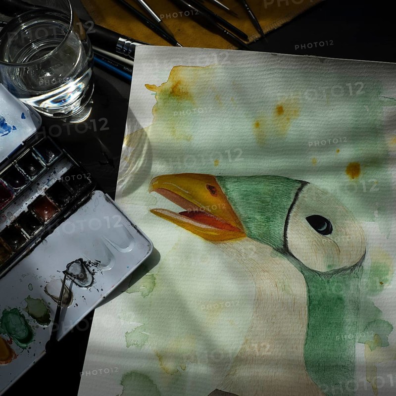 Painted goose, watercolour painting with water glass