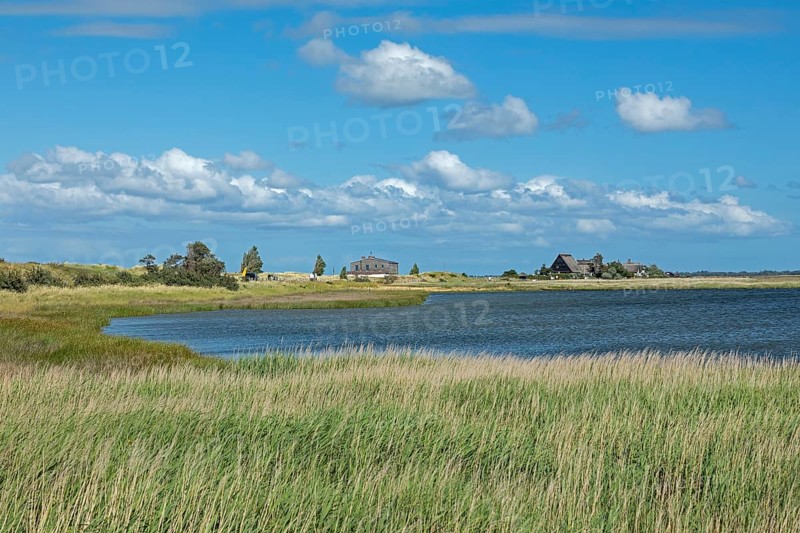 Houses, Graswarder peninsula
