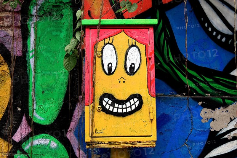 Grafitti in the Rua Jardim Botanico, Rio de Janeiro