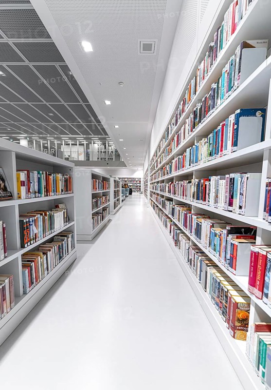 Bookshelves of the Modern Library, Architecture