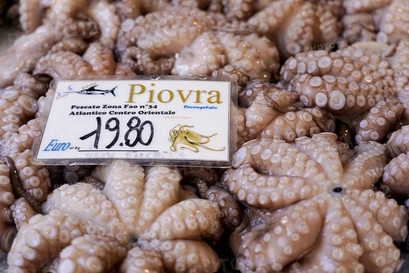 Scampi, seafood