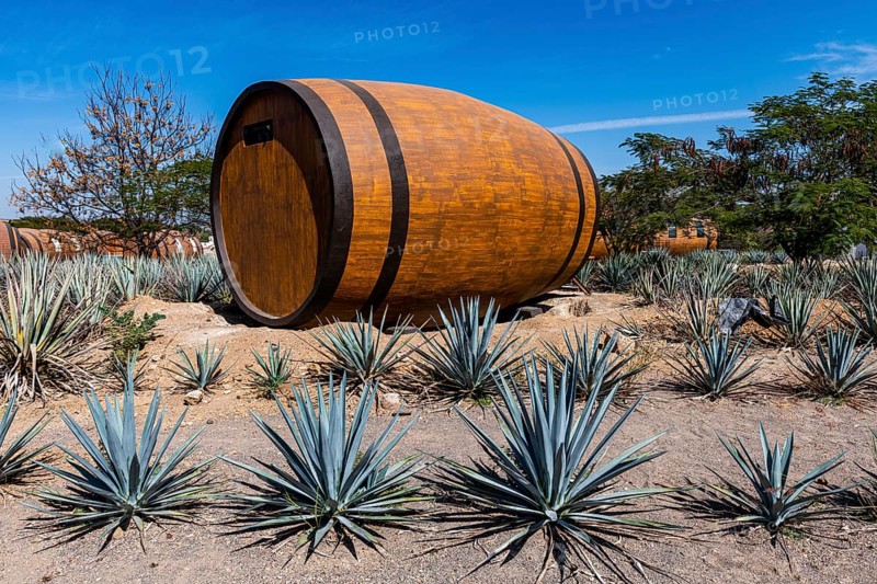 Hotel rooms in the form of a Tequila barrel in an blue agave field, Tequila Factory La Cofradia