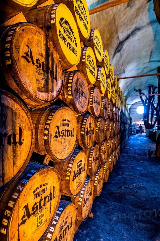 Old storage facility for Tequila barrels, Tequila Factory La Cofradia
