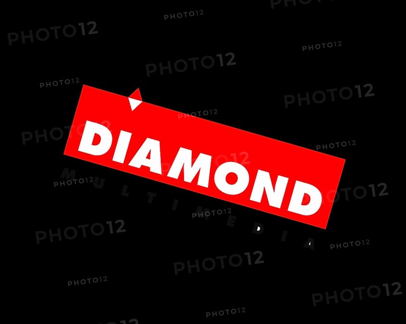 Diamond Multimedia, rotated logo