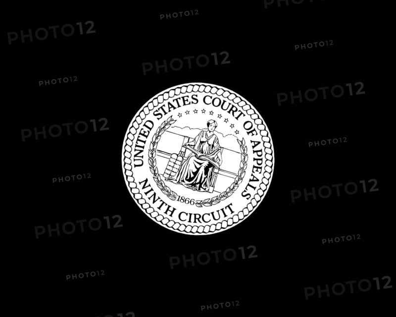 Lewis Galoob Toys Inc. v. Nintendo of America Inc. gedrehtes Logo, Schwarzer Hintergrund B