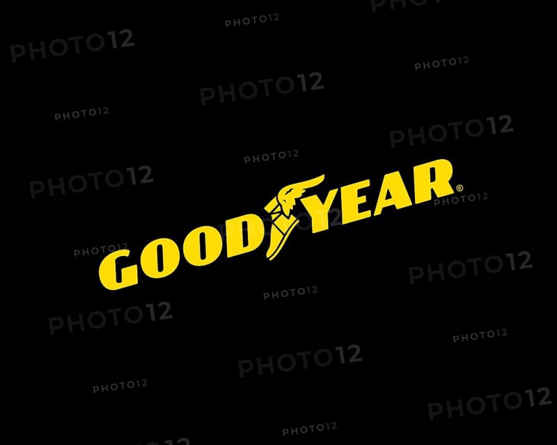 Goodyear Tire and Rubber Company, Rotated Logo