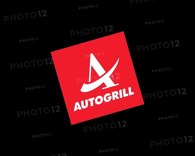 Car Grille, Rotated Logo