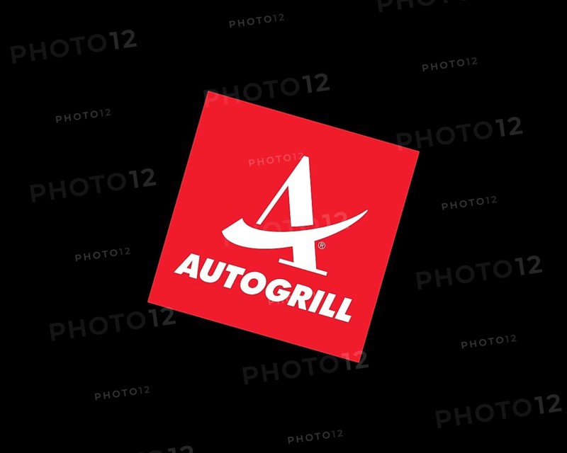 Car Grille, Rotated Logo