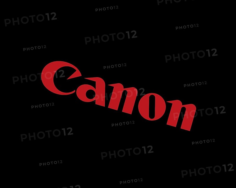 Canon IT Solutions, rotated logo