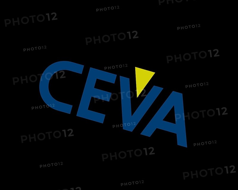 Ceva semiconductor company, rotated logo