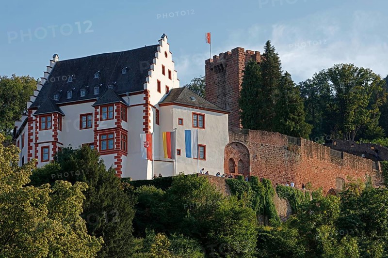 Mildenburg, Miltenberg