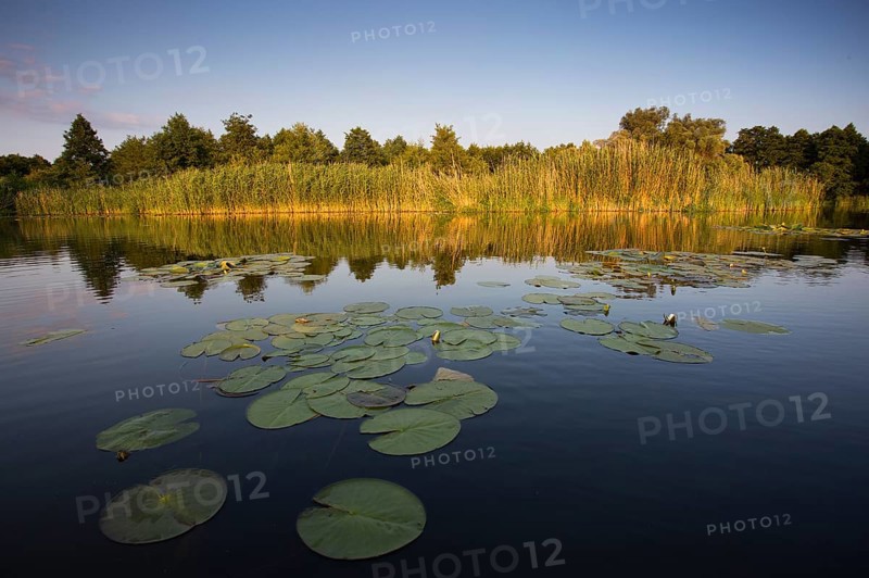 Watercourse section of the Middle Havel, Brandenburg