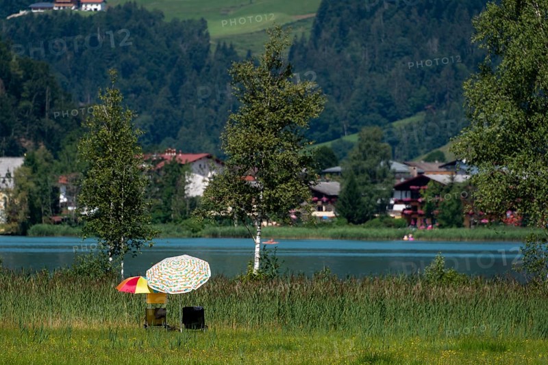 Two parasols, reeds