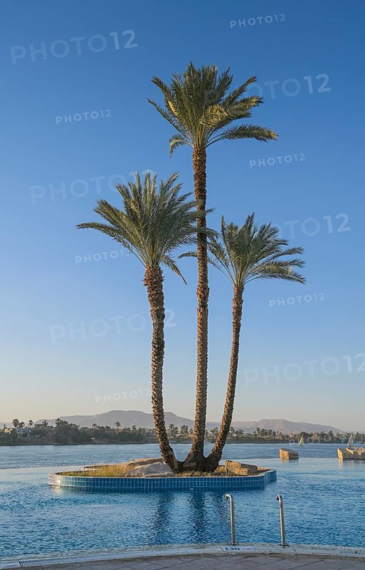 Infinity pool, Nile