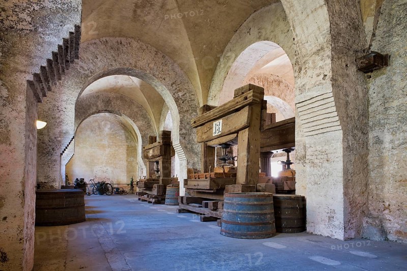 Lay refectory with historic wine presses, dining room of the lay brothers