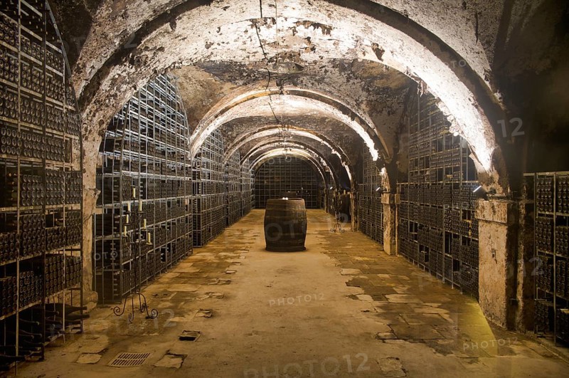 Treasury, secured and temperature-controlled wine cellar of the Hessian State Wine Estates