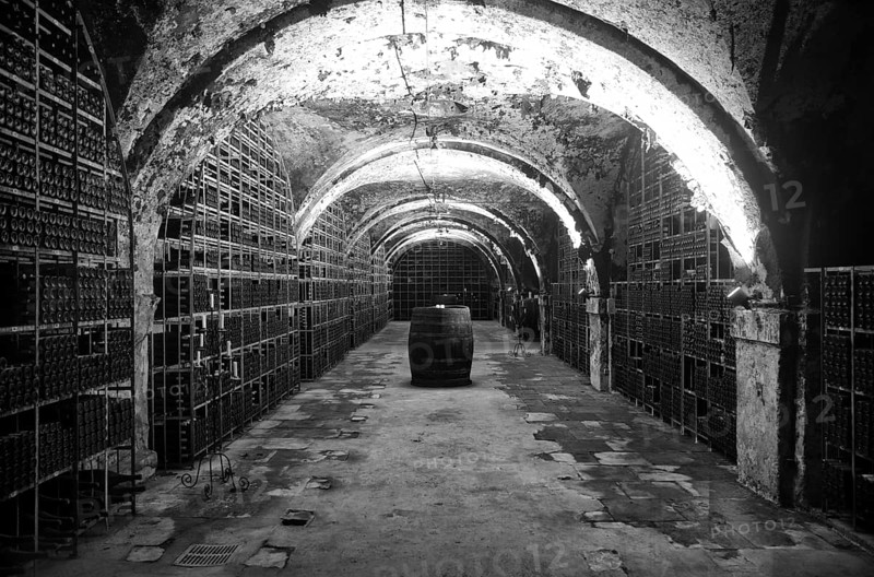 Treasury, secured and temperature-controlled wine cellar of the Hessian State Wine Estates