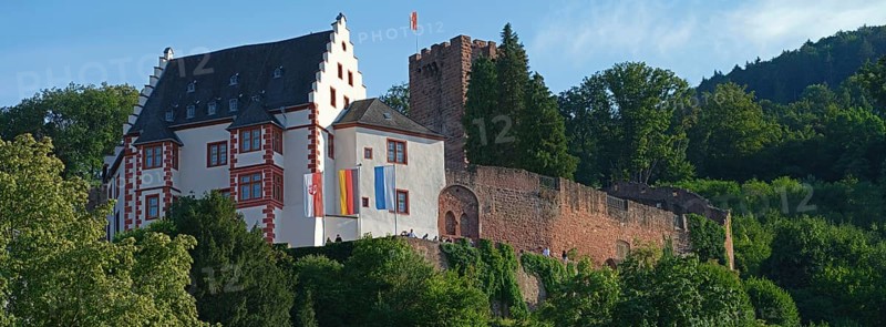 Mildenburg, Miltenberg