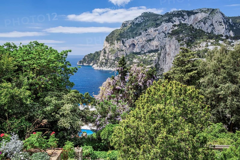 Enchanted garden on the south slope with the Marina Piccola, Capri