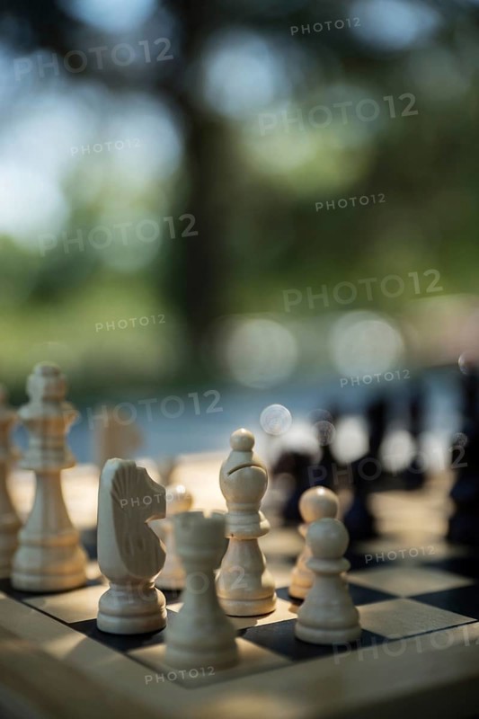 Chess game, wooden pieces