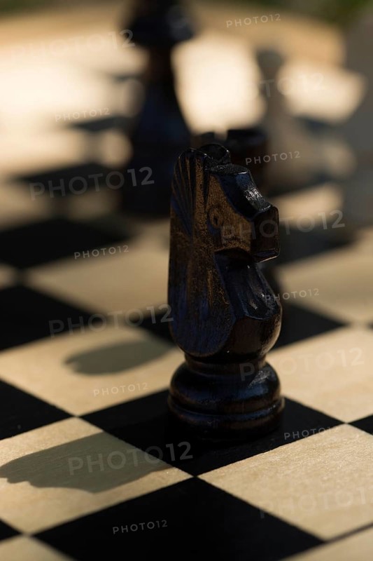 Chess game, wooden pieces