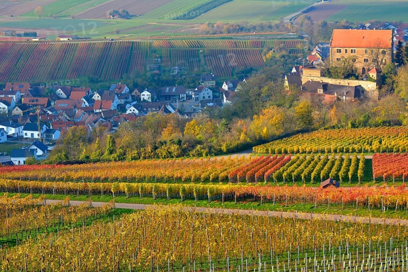 Baden-Wuerttemberg