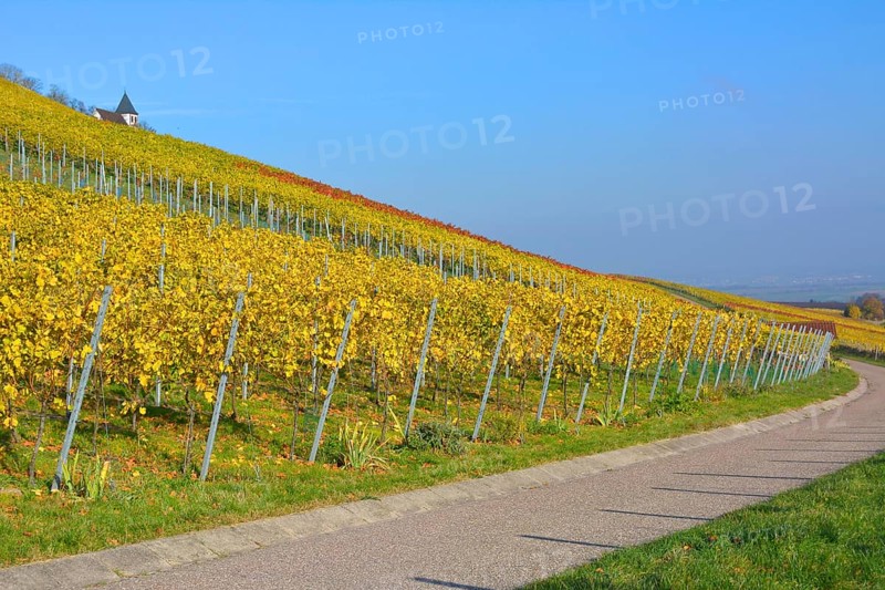 Baden-Wuerttemberg